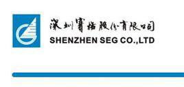深賽格最新動態解析與未來投資展望